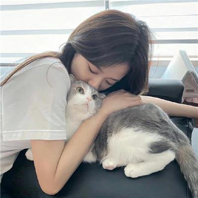 王牌新主播
